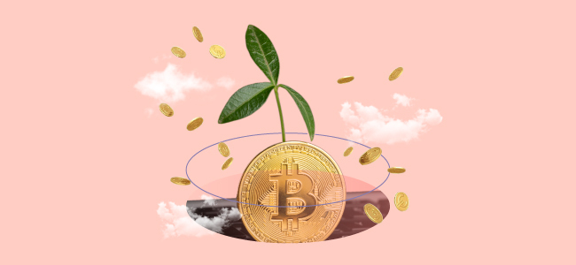 how to buy cryptocurrency uae